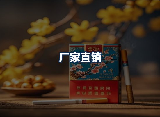 专业团队办公环境